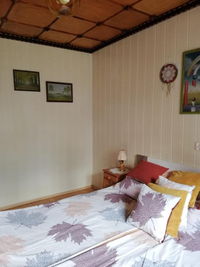 Apartament Nad Szumiacym Potokiem Wilkowice Kültér fotó