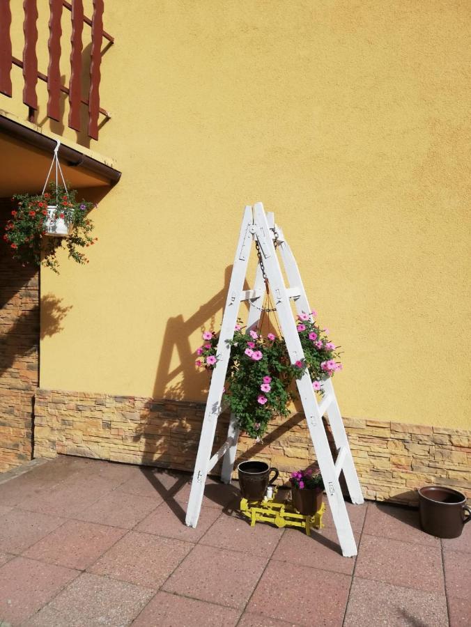 Apartament Nad Szumiacym Potokiem Wilkowice Kültér fotó