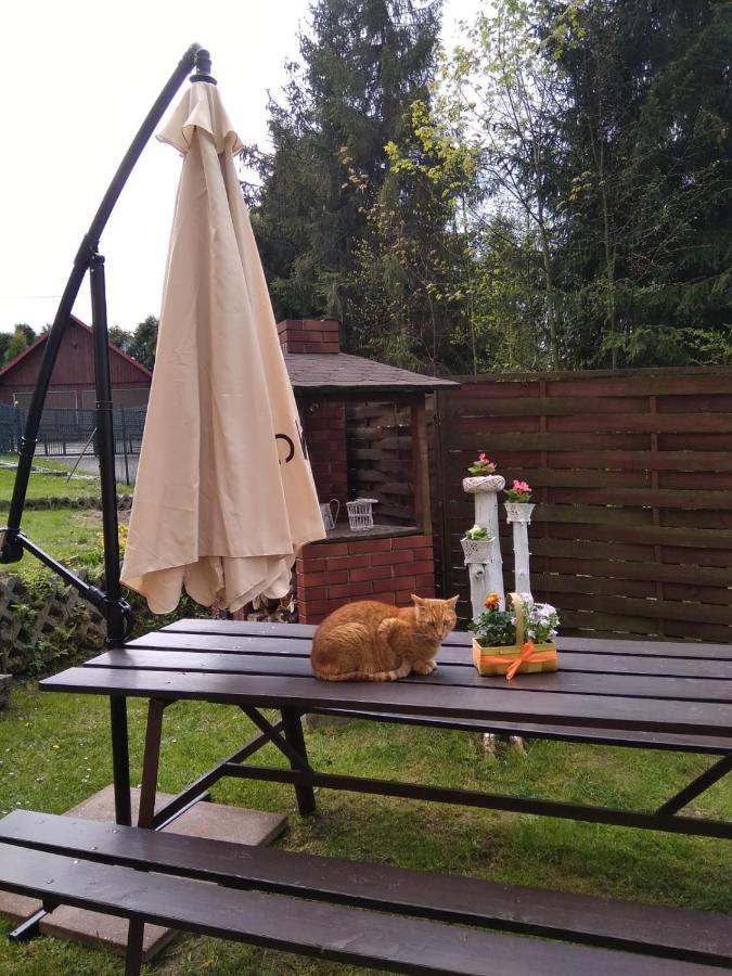 Apartament Nad Szumiacym Potokiem Wilkowice Kültér fotó